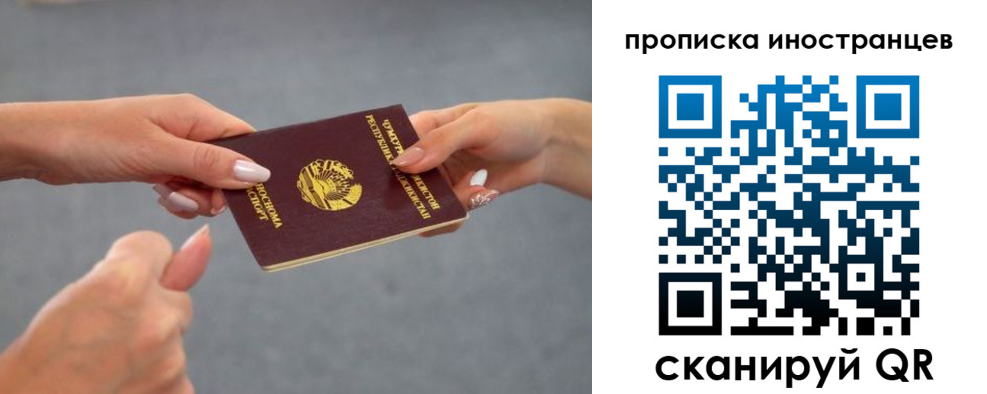 где прописаться в Ногинске